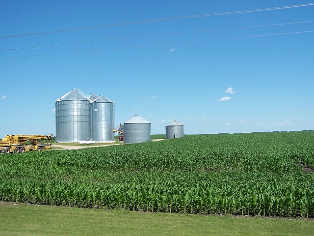 Bin Site